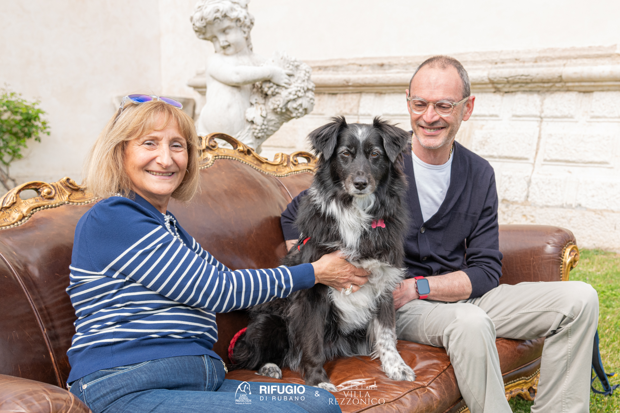 Link image